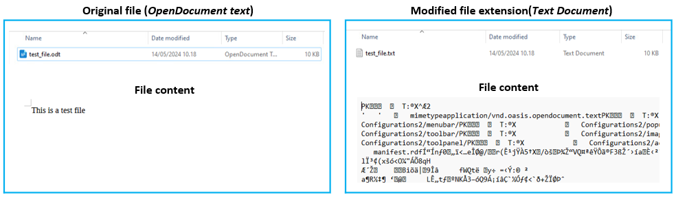 File extension change
