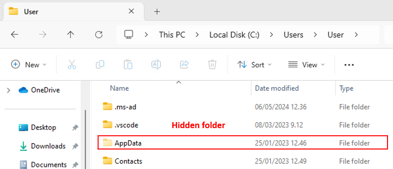 Hidden AppData folder