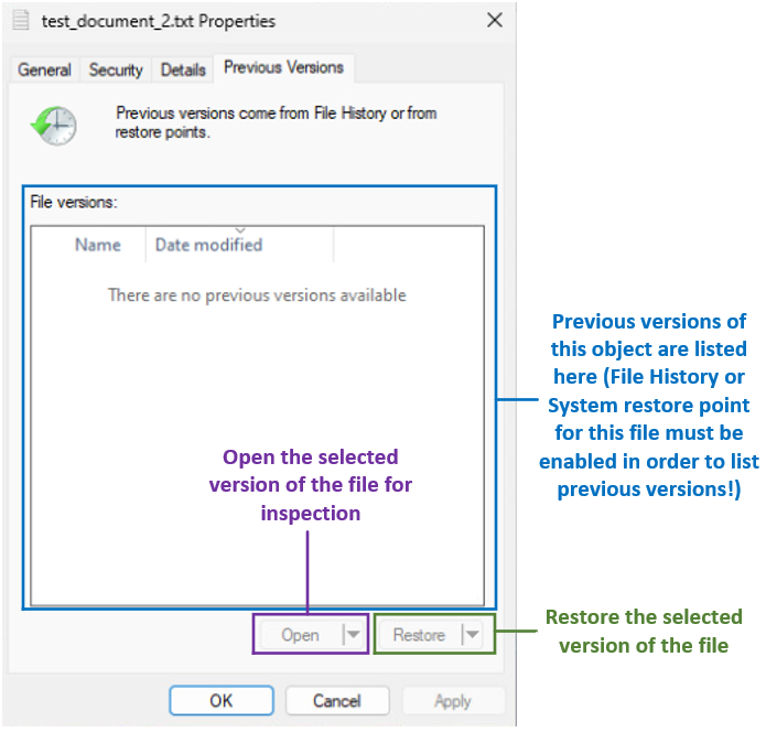 Previous versions tab in file properties